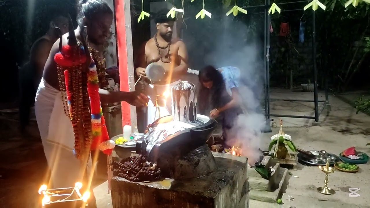 මහාශිව රාත්‍රිය 2026~0767288524#mahadev #mahasivaratri #mahakal #mahakali #abishekam #puja #shakthi 