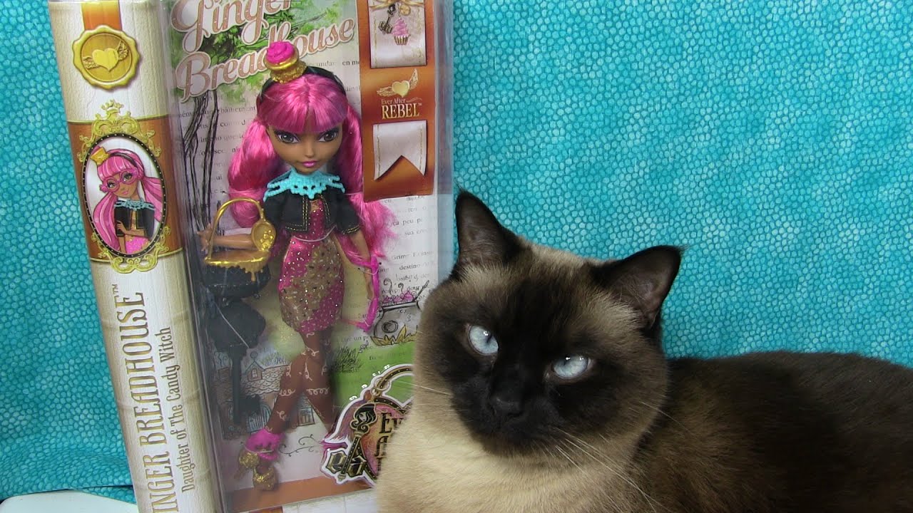 EAH Ginger Breadhouse Doll Unboxing Review Ever After High