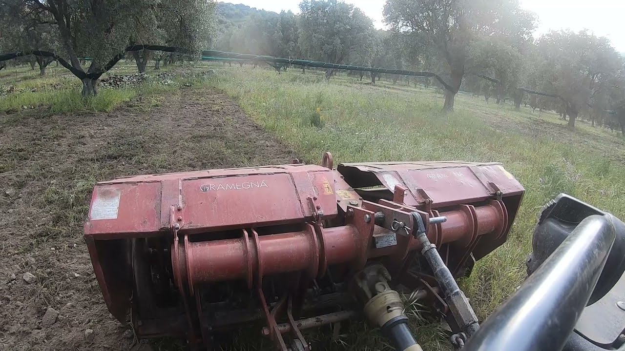 Trattore #NewHolland TK4040M vangatrice #Gramegna v93/30C vangatura oliveto tractor at work video