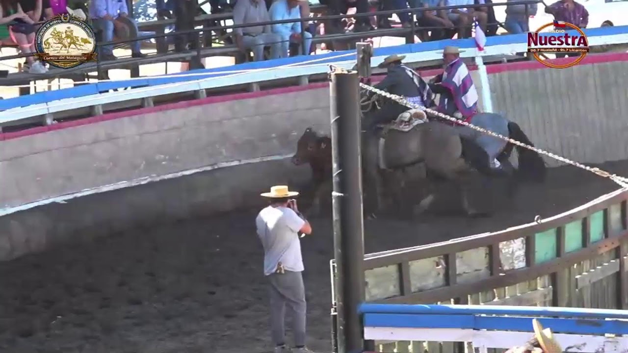 Desde La Medialuna Monumental de la Huerta / Campeonato de Rodeo Cuenca del Mataquito 2025-2026