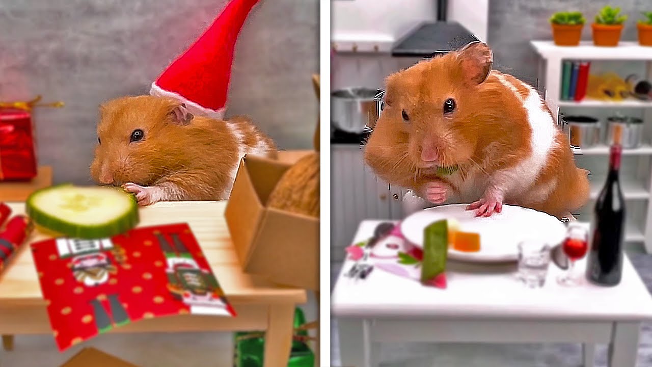 HAMSTER PREPARING FOR CHRISTMAS // MINI HOUSE // Christmas Pudding 🎄 HAMSTER KITCHEN