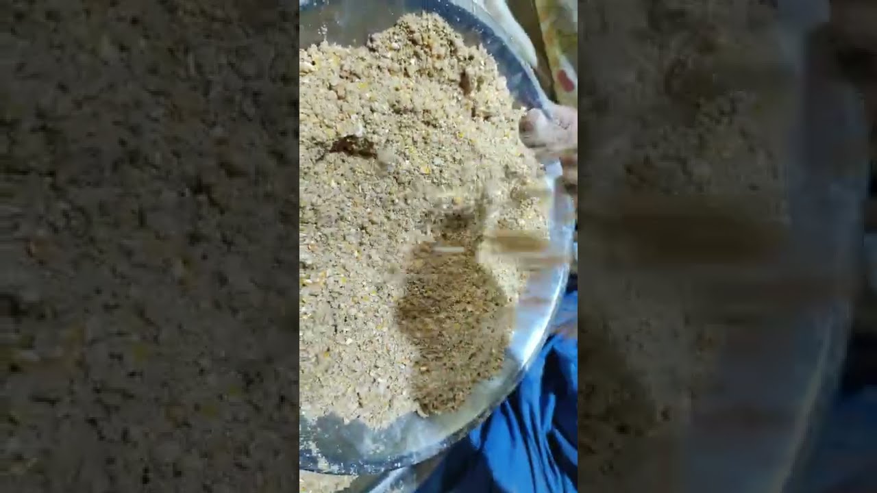 وداعاً لشراء العلف اصنع علف الدجاج فى بيتك Goodbye to buying feed, make chicken feed at home