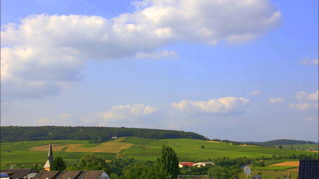The view from our house, Walluf, Germany