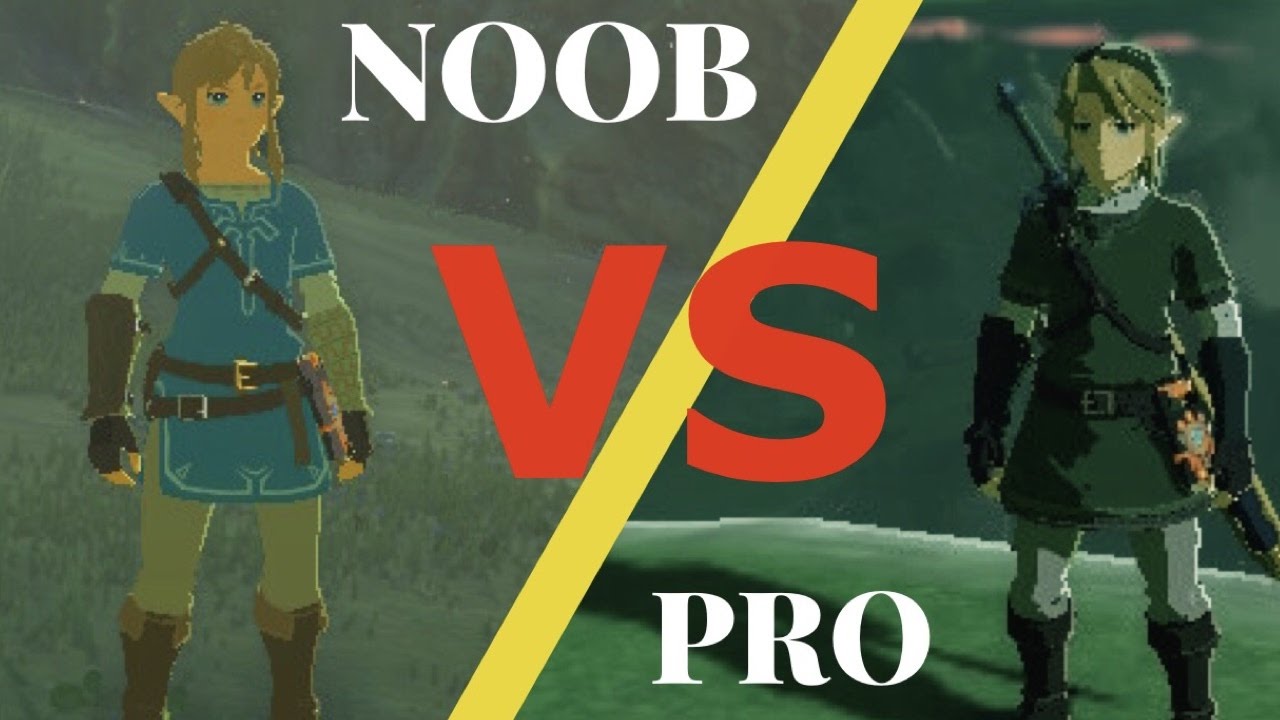 Breath of the Wild NOOB VS  PRO