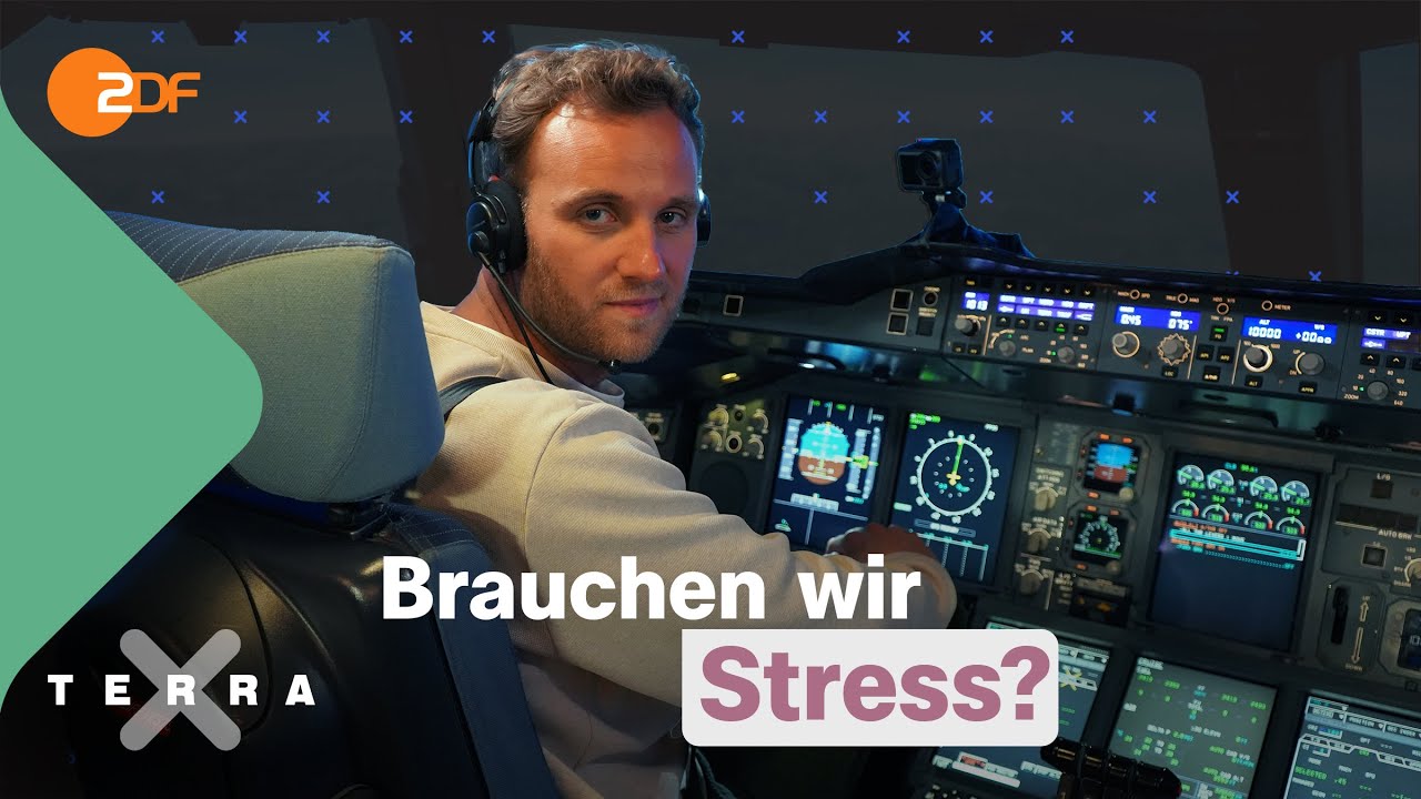 Wie kannst du besser mit Stress umgehen? | Terra Xplore mit Psychologe Leon Windscheid
