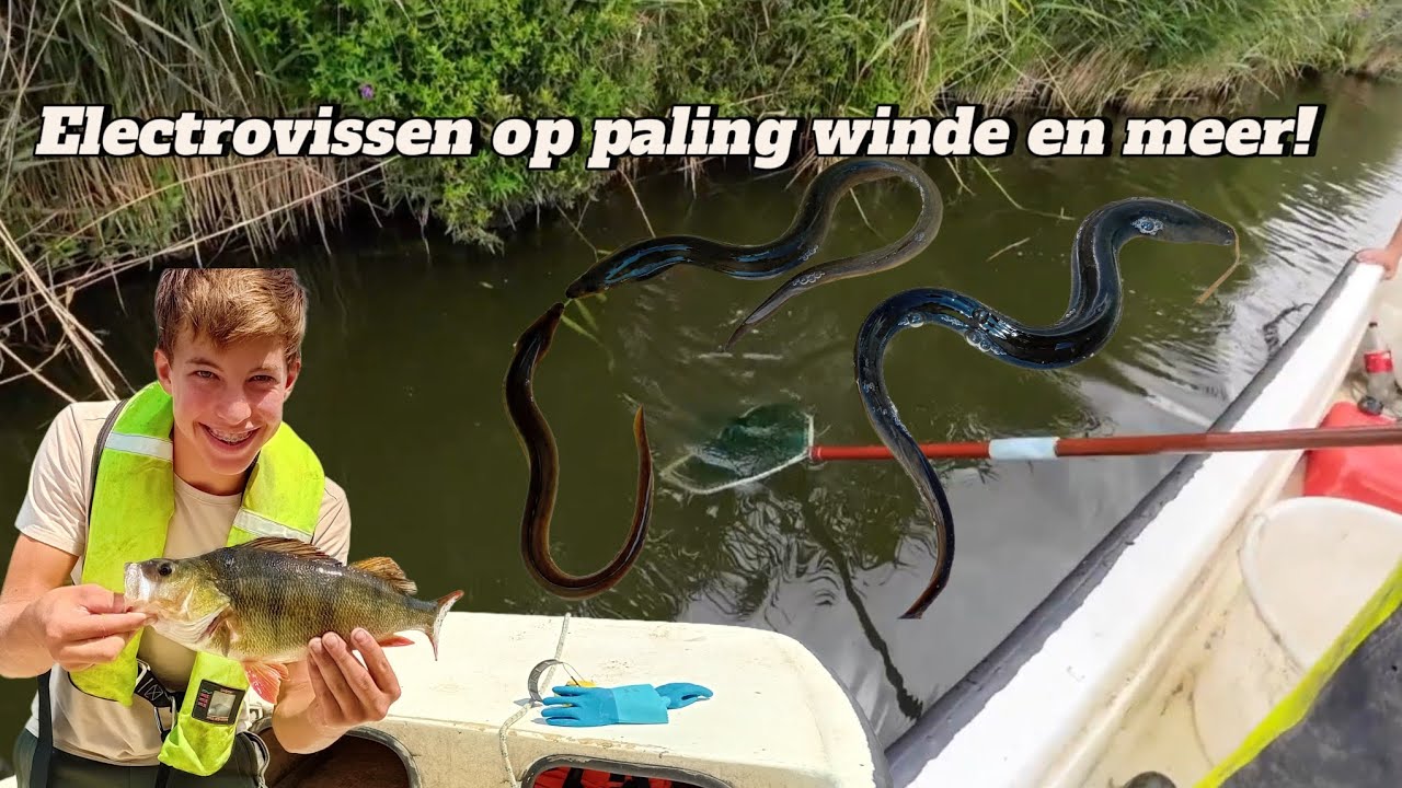 Electrovissen op PALING, winde en meer!