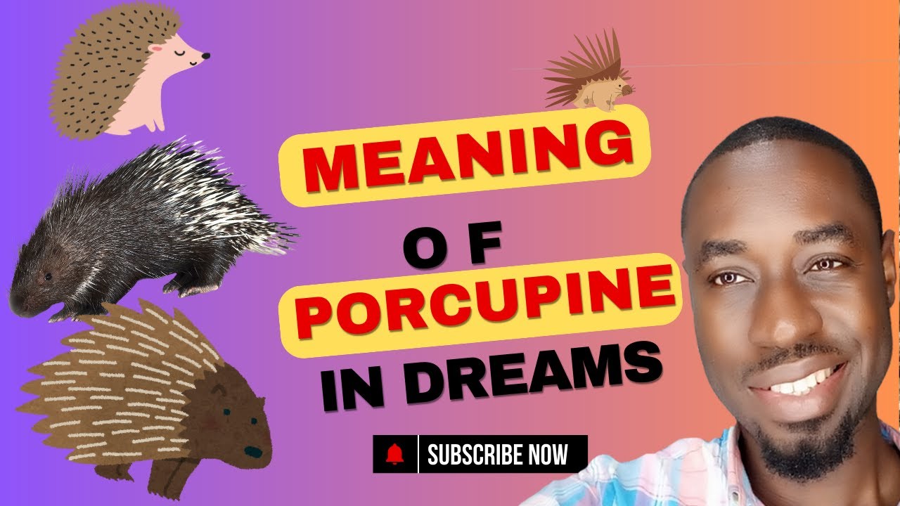Meaning of PORCUPINE in Dreams | Spiritual and General Meaning