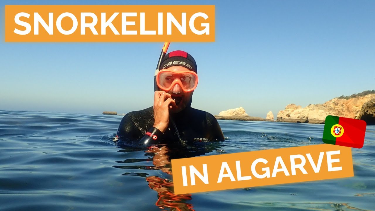 Snorkeling for Families with Zip&Trip in Algarve, Portugal