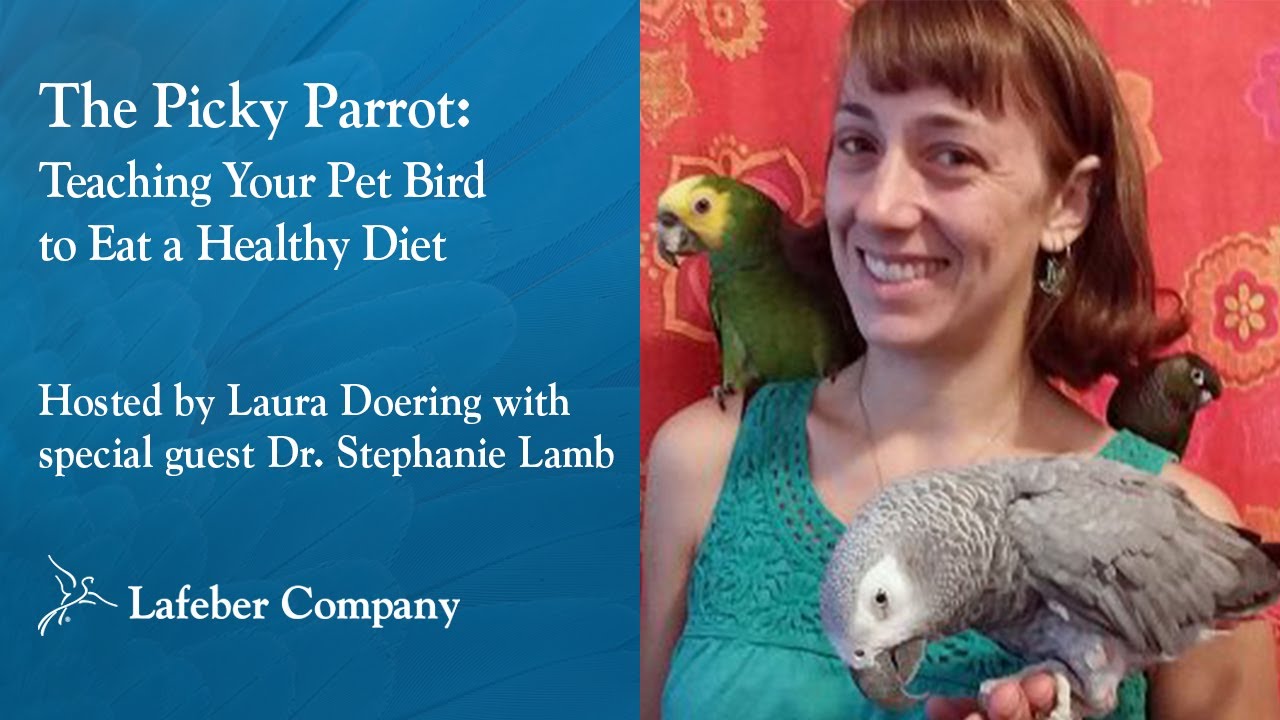 The Picky Parrot: Teaching Your Pet Bird to Eat a Healthy Diet