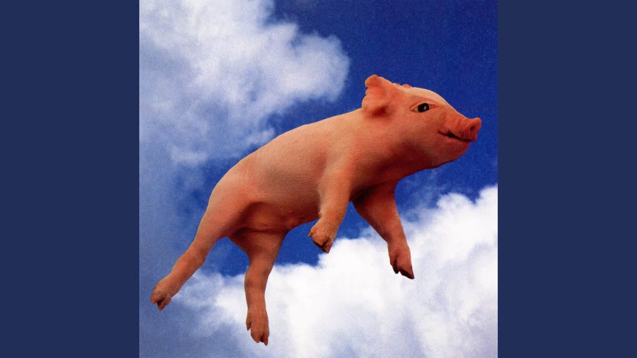 Que Sirhan Sirhan
