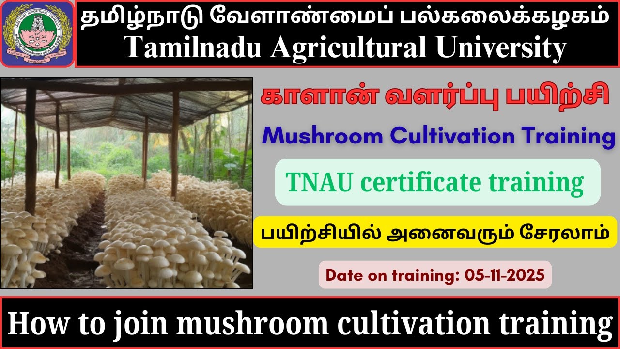 Mushroom Cultivation Training | TNAU Certificate Course | Tamilnadu Agri University | How To Apply?