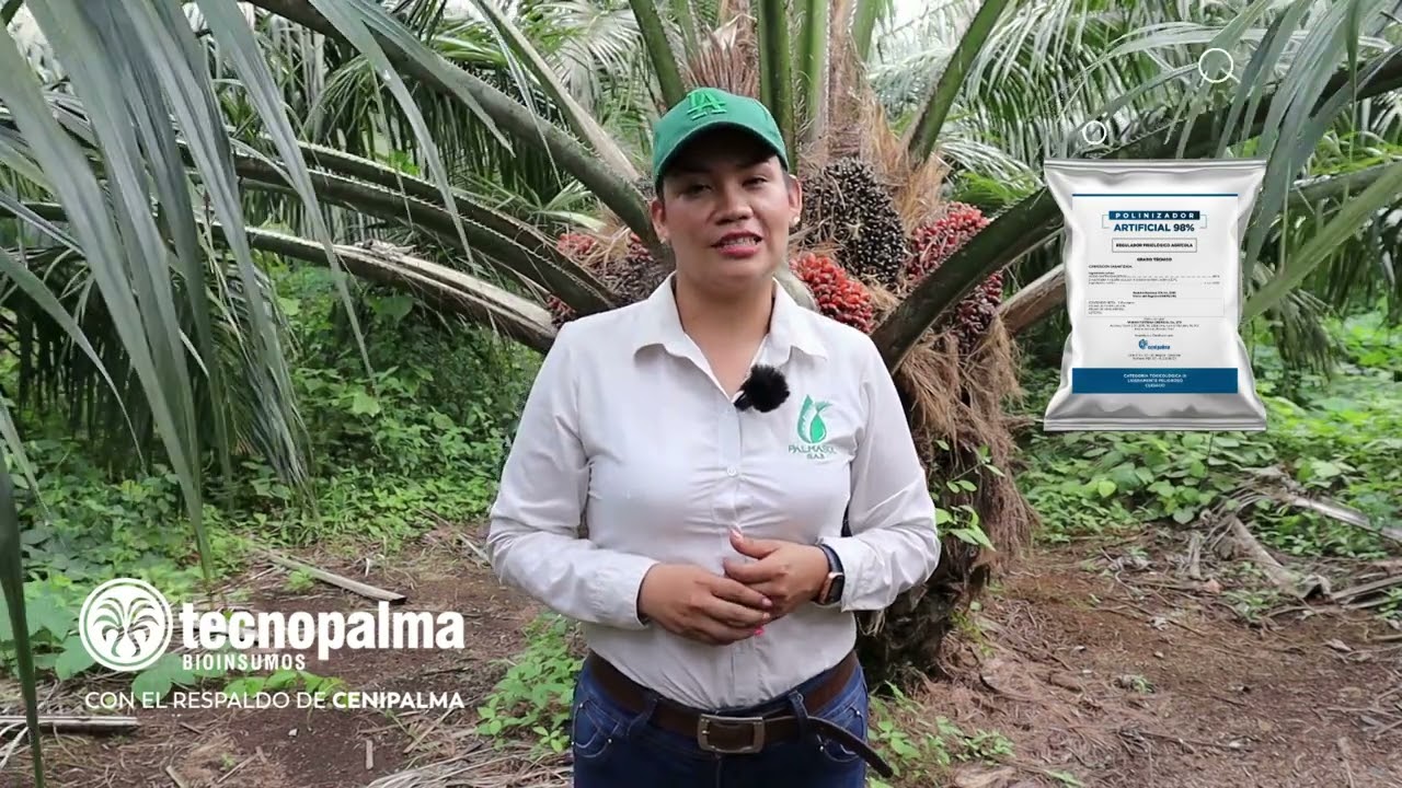 Palmasol S.A.S., recomienda el Polinizador Artificial 98% de #Tecnopalma