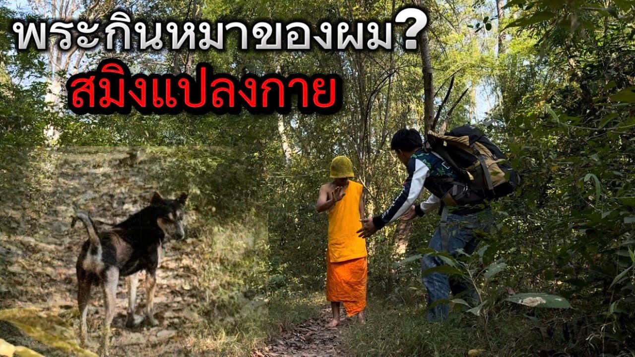 รู้แล้วว่าหมาผมหายไปไหน! พระธุดงองค์นี้ทำตัวมีพิรุธ หรือเขาจะขโมยหมาผมไปกิน? สมิงพระหรือเปล่า!?￼