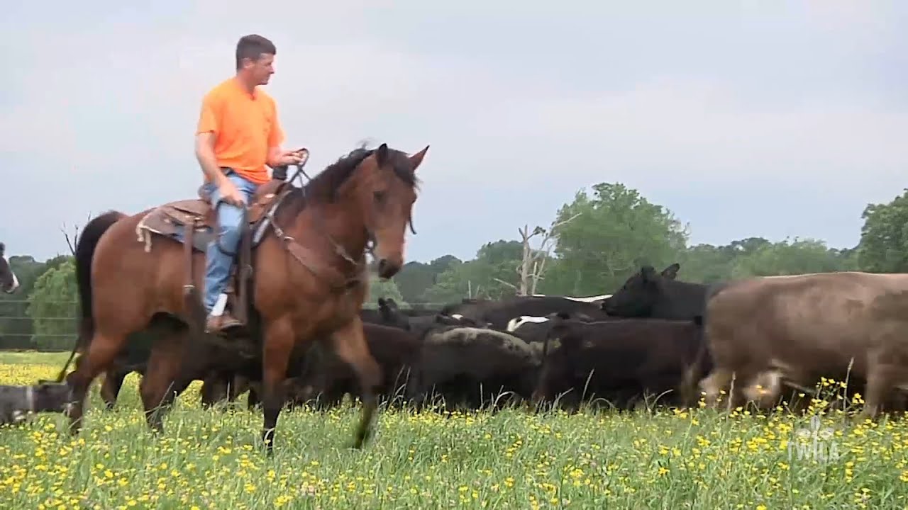 Louisiana Farm Life -- Joey Register