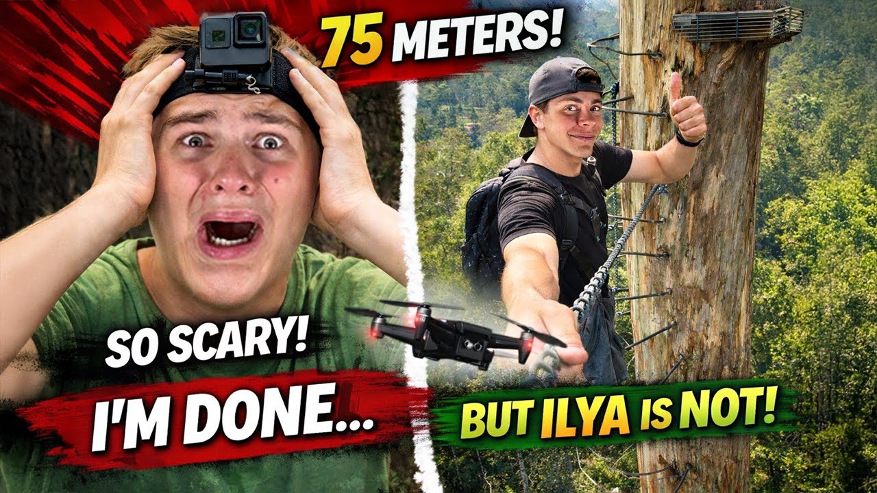 75 METERS UP! Illia Climbs the TALLEST TREE CLIMB in Australia, quartersbros #illiaandmaksym