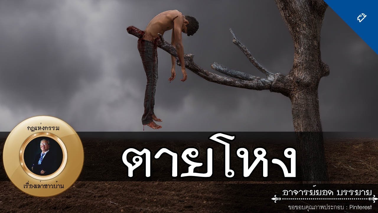 อาจารย์ยอด : วิบากกรรมตายโหง, แหวนทองเหลือง, ผีลูกกรอกดงไม้ [ผี]
