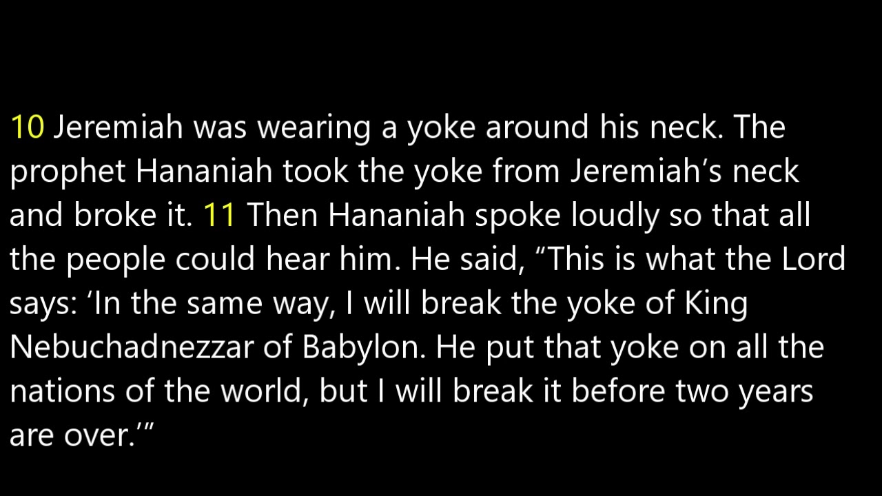 Jeremiah 28:1-17 Easy-to-Read Version (ERV)