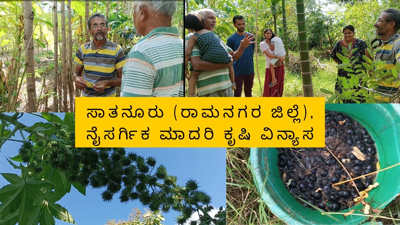 ಸಾತನೂರಿನಲ್ಲಿ (ರಾಮನಗರ ಜಿಲ್ಲೆ) ನೈಸರ್ಗಿಕ ಮಾದರಿ ಕೃಷಿ ವಿನ್ಯಾಸ |  ನಿವೃತ್ತ ಪೊಲೀಸ್ ಅಧಿಕಾರಿ:Ph.no :9141428844