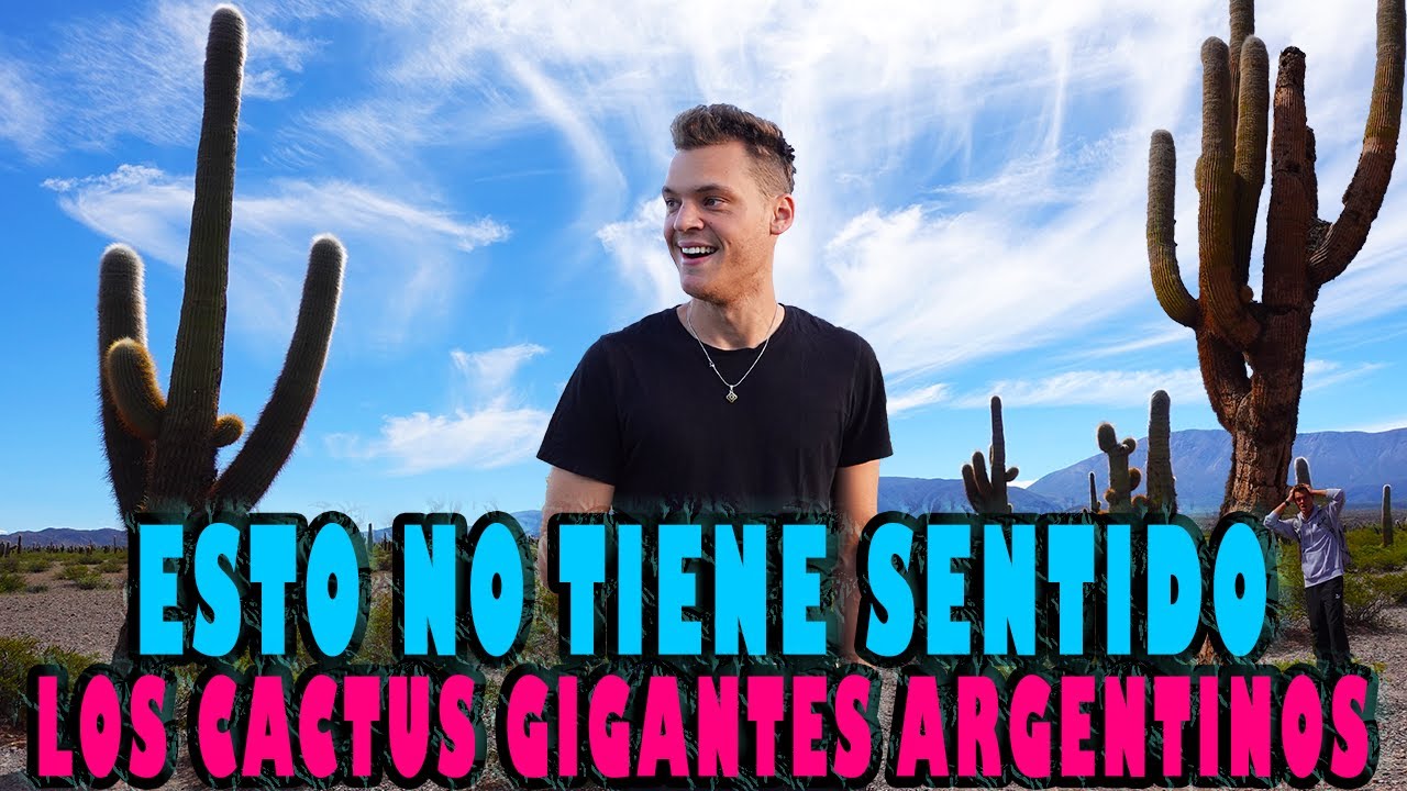 Los CACTUS GIGANTES de SALTA NO TIENEN SENTIDO | Parque Nacional Los Cardones y Cuesta del Obispo
