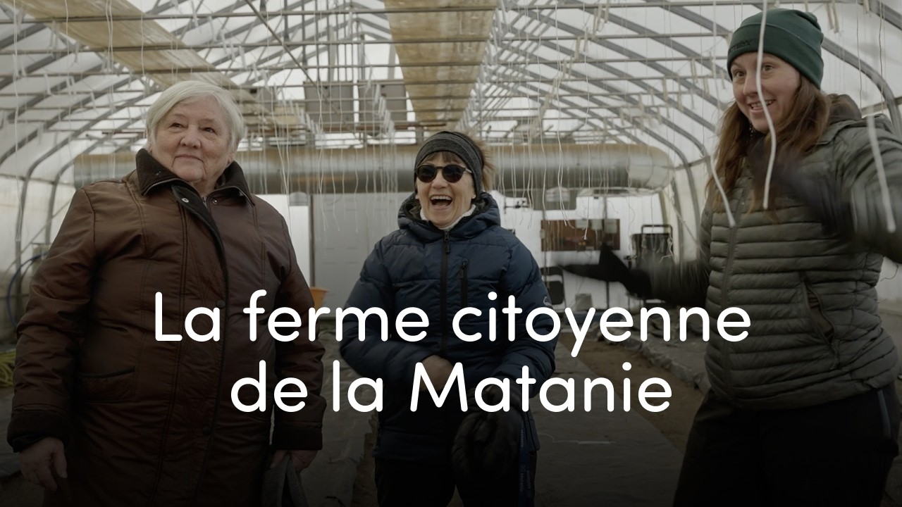 Ferme citoyenne de la Matanie, une communauté fertile