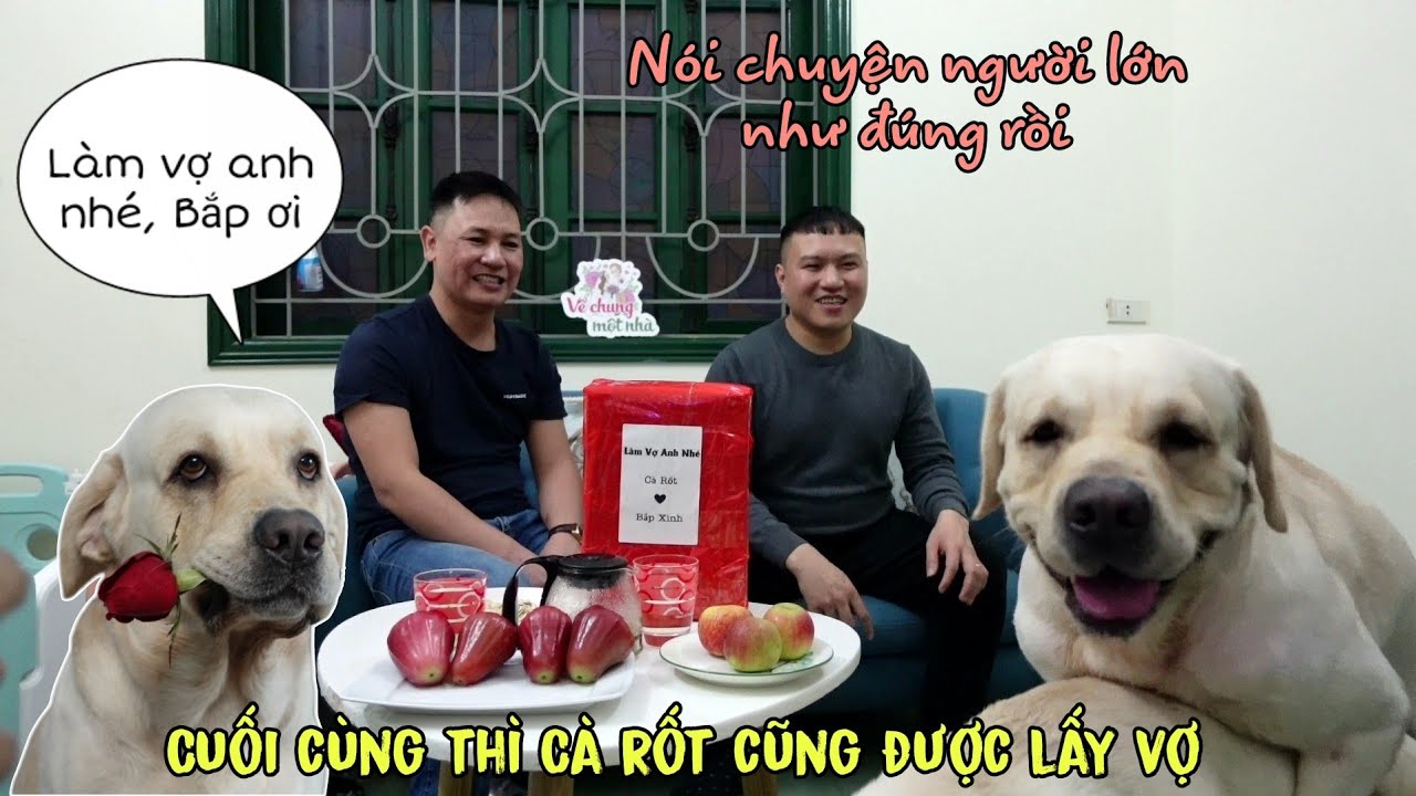 Mang sính lễ đi hỏi vợ cho Cà Rốt và câu trả lời của nhà gái - Which dog is Ca Rot's girl friend