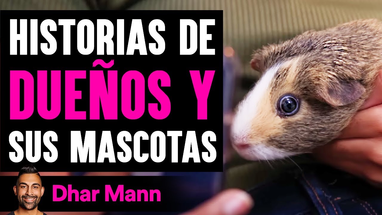 Historias De Dueños Y Sus Mascotas | Dhar Mann