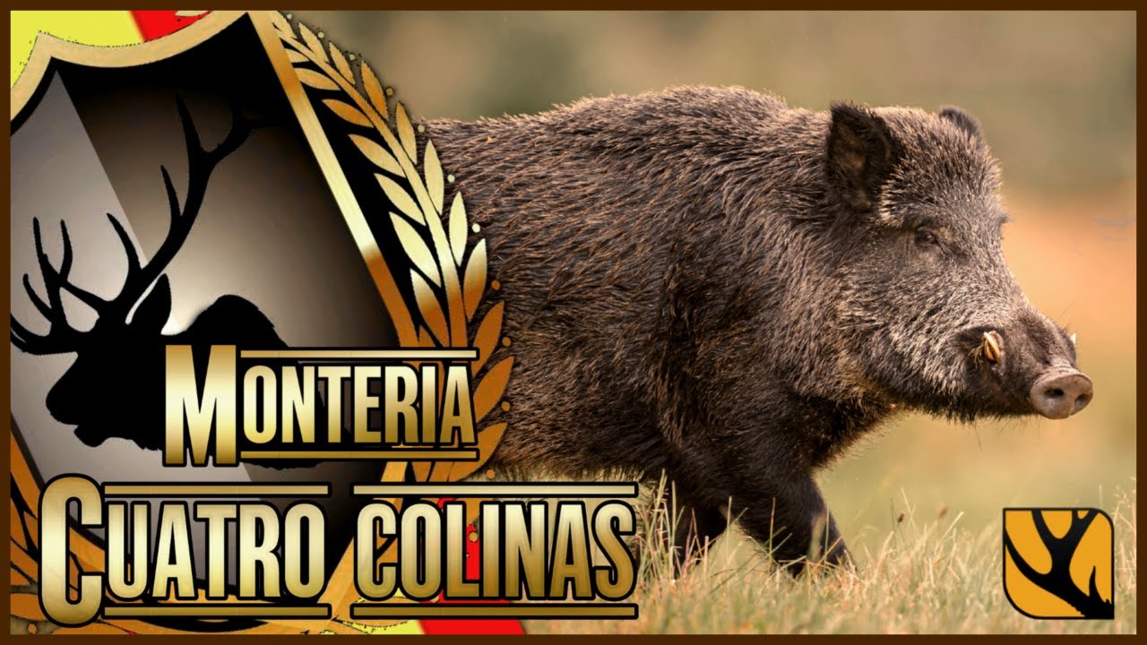 MONTERÍA THE HUNTER CALL OF THE WILD : EL MONASTERIO