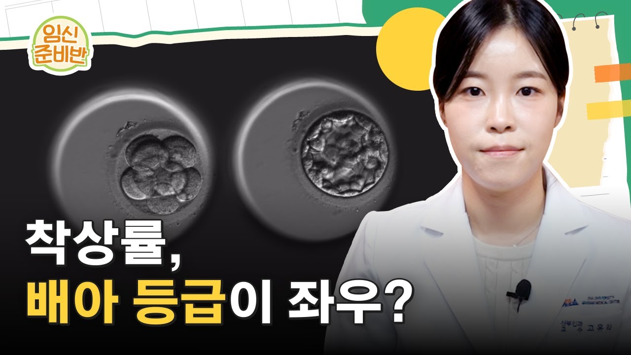 착상시기, 배아 등급이 중요하다고? 반복착상실패① 눈사람 배아, 감자배아 우수등급 배아는?