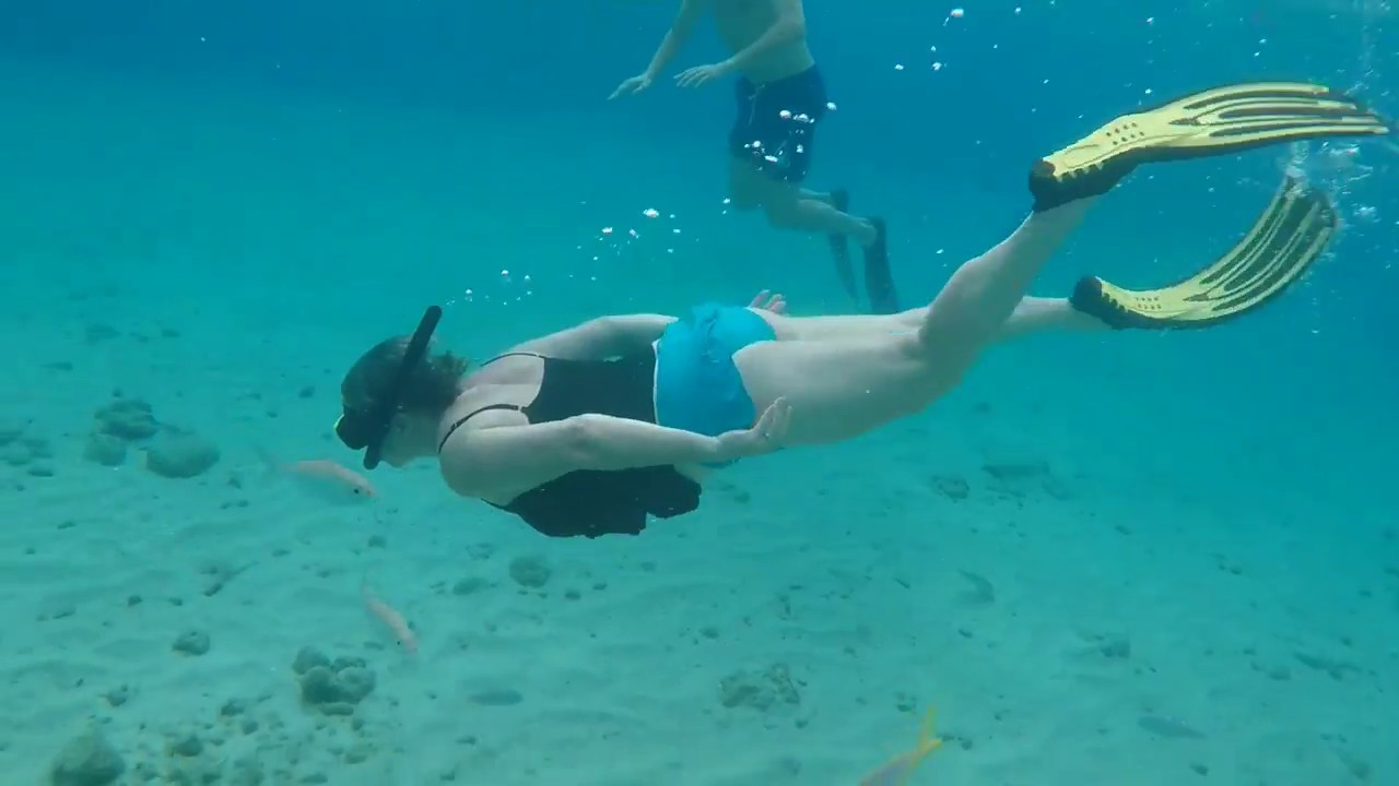 Snorkeling in Blue Bay - Curacao