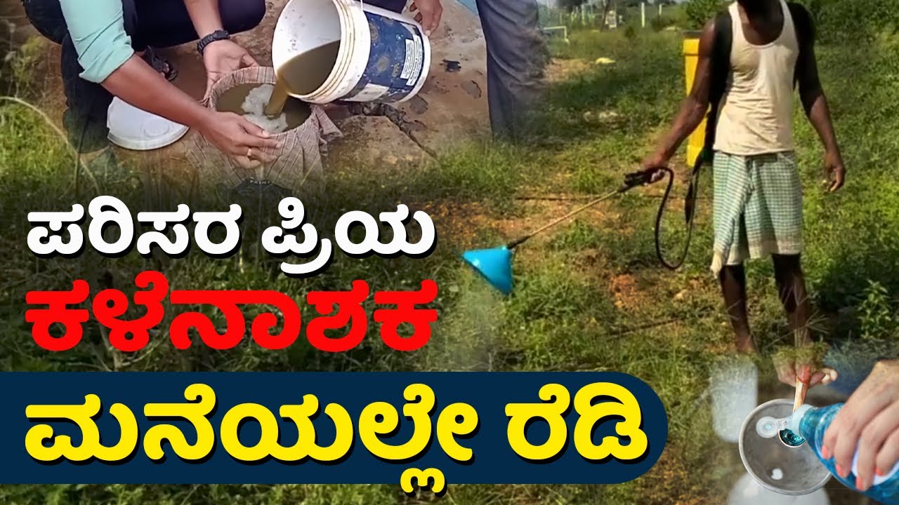 ಮನೆಯಲ್ಲೇ ರೆಡಿ ಪರಿಸರ ಸ್ನೇಹಿ ಕಳೆನಾಶಕ| ಮಣ್ಣು, ಕಾಸು ಉಳಿಯುತ್ತೆ | how to make herbicides #organicherbicide