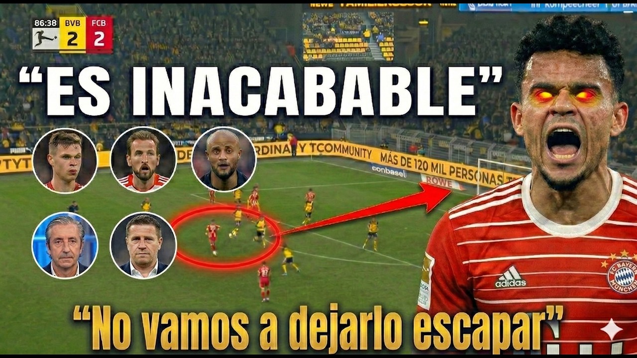 🚨 