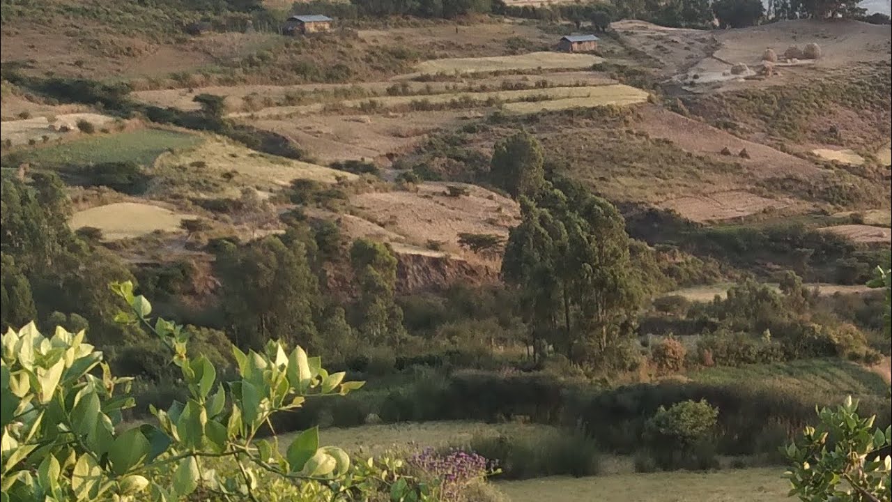 አሠለም አሊኩም ቤተሰብ