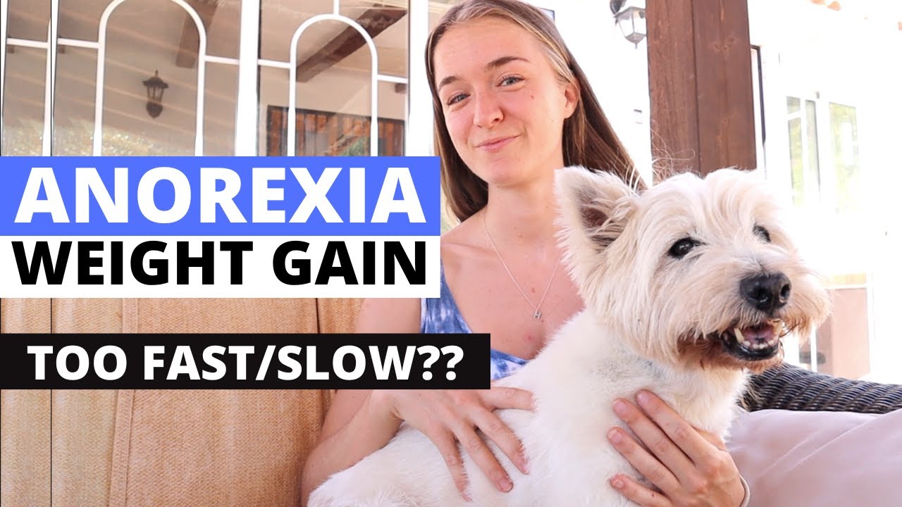 Should I GAIN WEIGHT Quickly or Slowly | EATING DISORDER RECOVERY