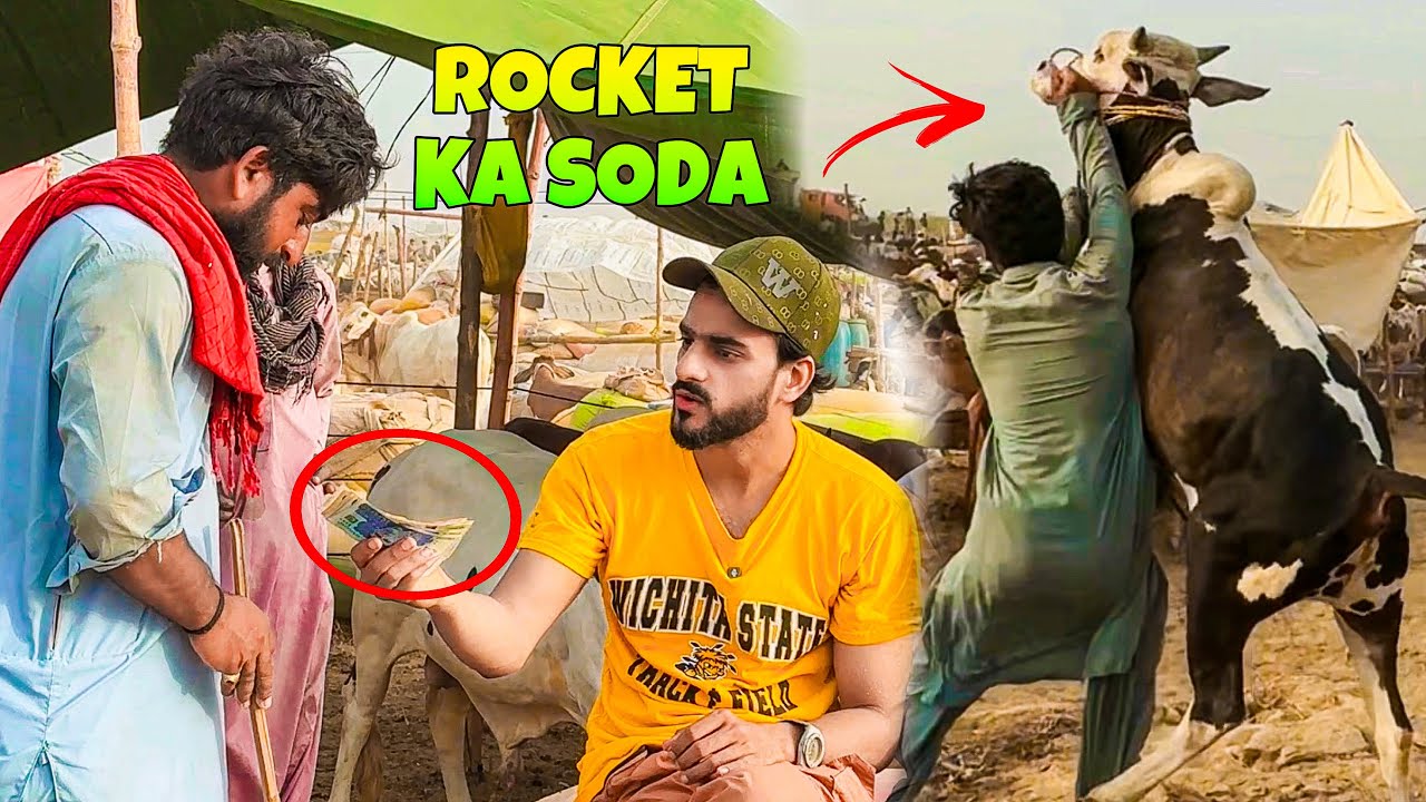 ROCKET JANWER KA SODA KARLIA? 😱 | MISHKAT KHAN COW MANDI VLOG