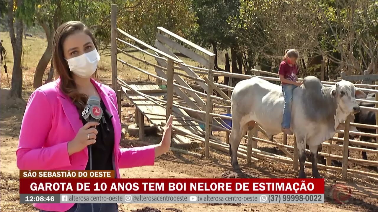 Garota de 10 anos tem boi de estimação
