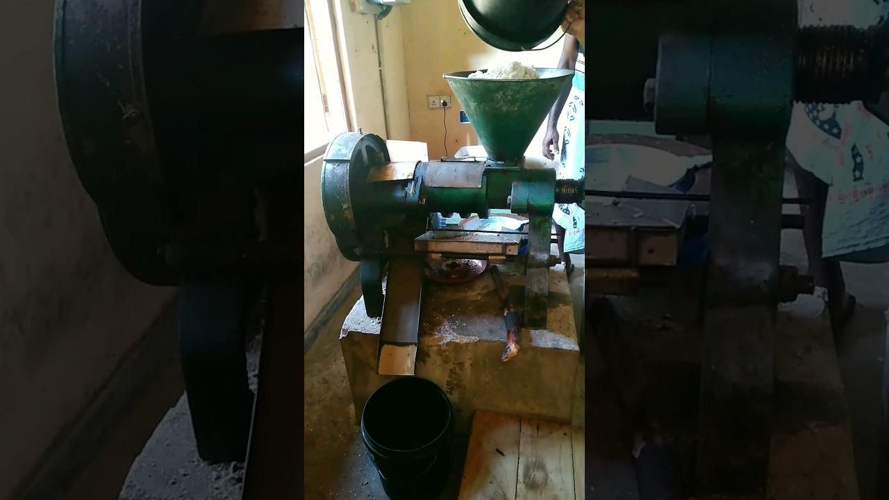 How to coconut oil sits in the coconut oil mill..🤔🥥💭🇱🇰#trending #viralvideo #shorts #1million