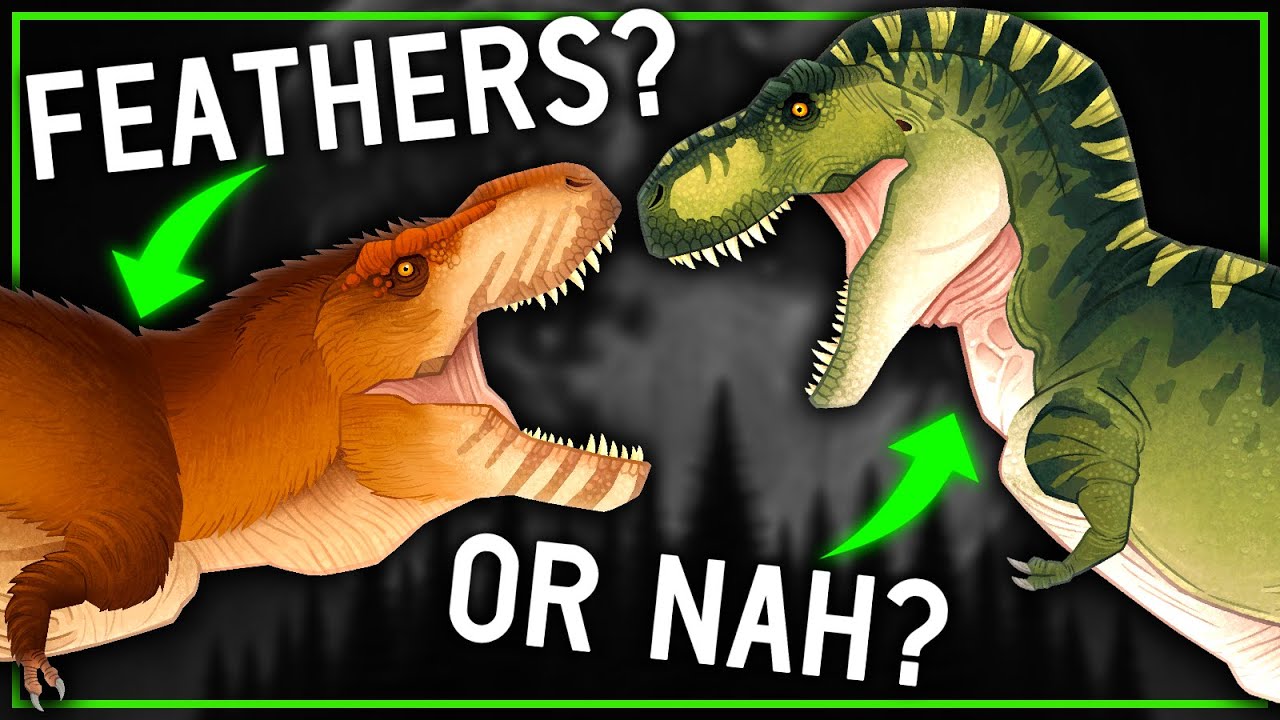 Did T. rex Have Feathers... Or Nah?