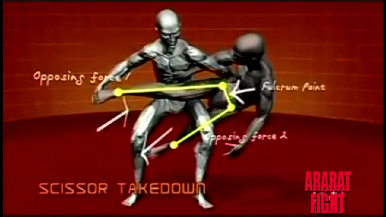 MMA takedown techniques . Animation