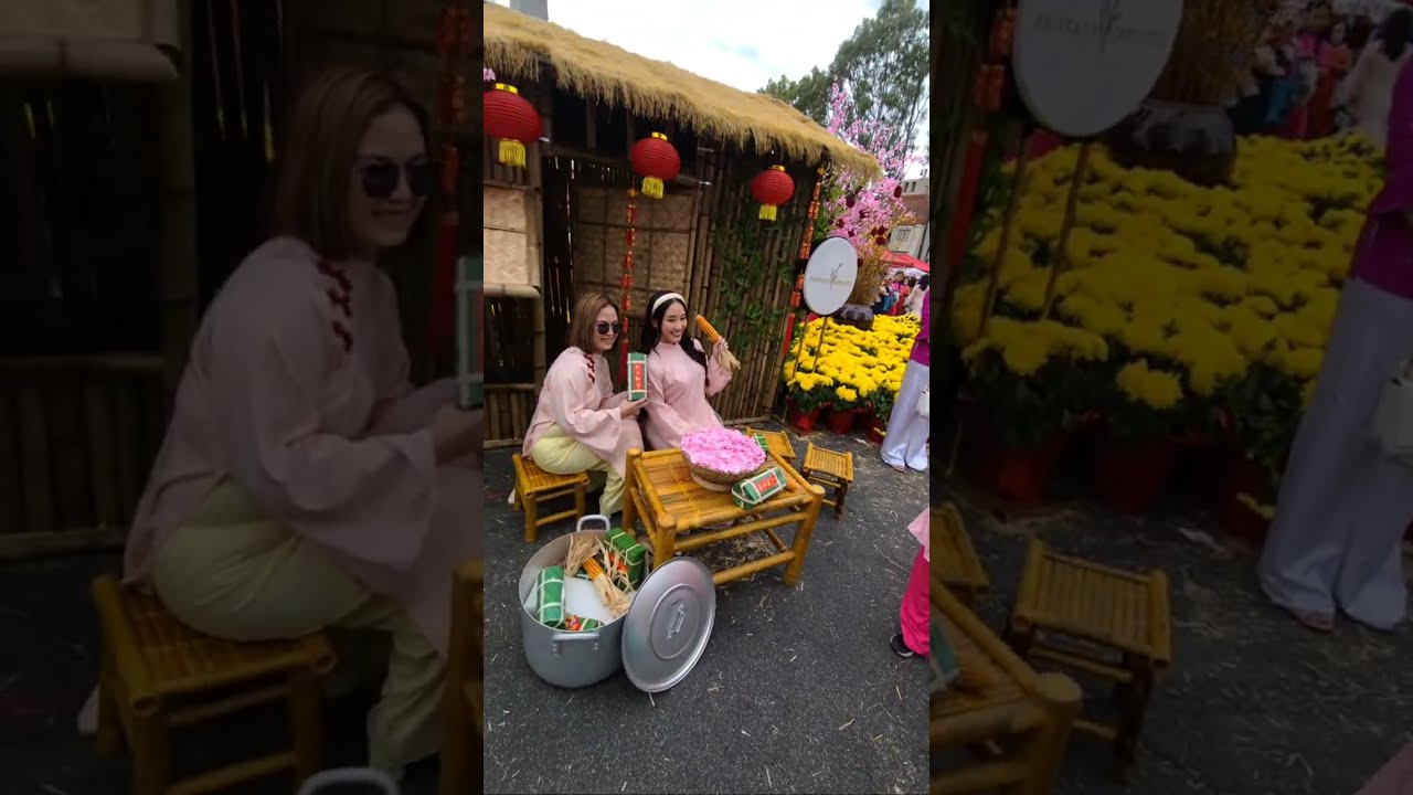 Highlight 24:48 - 29:48 from lunar new year in California /phố hoa California