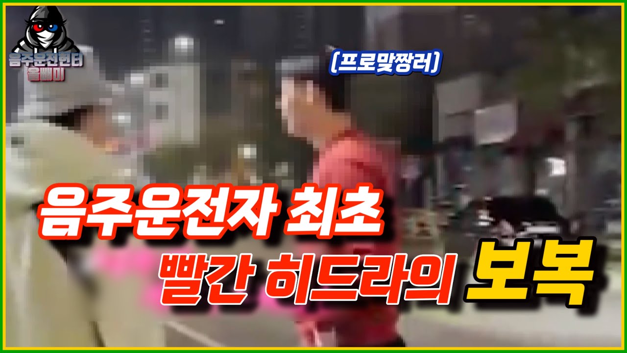 [천안불당동] 안산에는 초롱이가 있고, 천안에는 이 음주운전자가 있다.