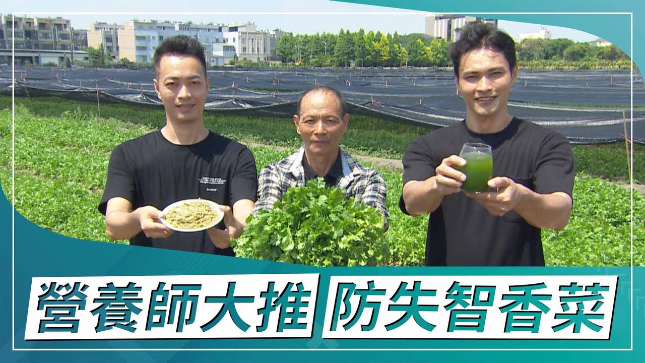 草地狀元-三代傳承香菜世家(2022.09.05播出)