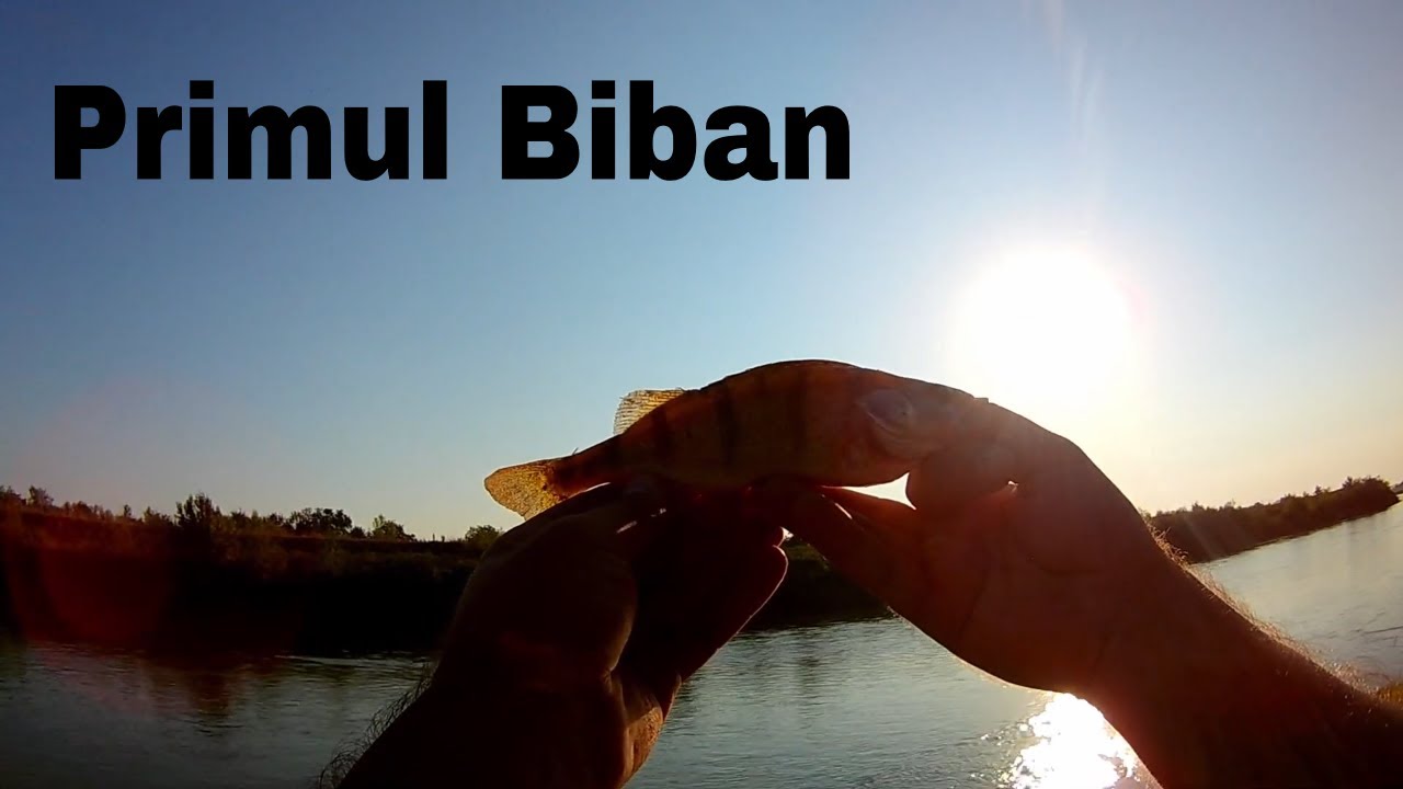 Primul Biban pe Arges, anul acesta la spinning