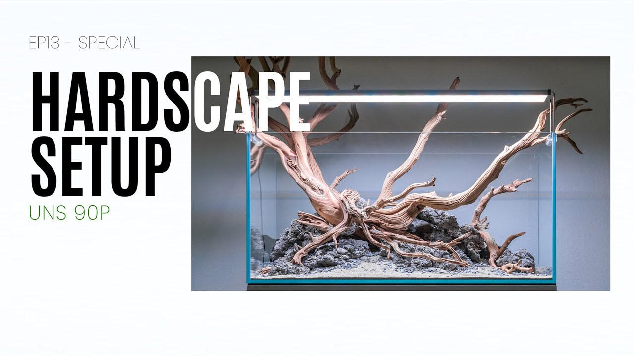 UNS 90P Planted Tank Hardscape - EP14 Special