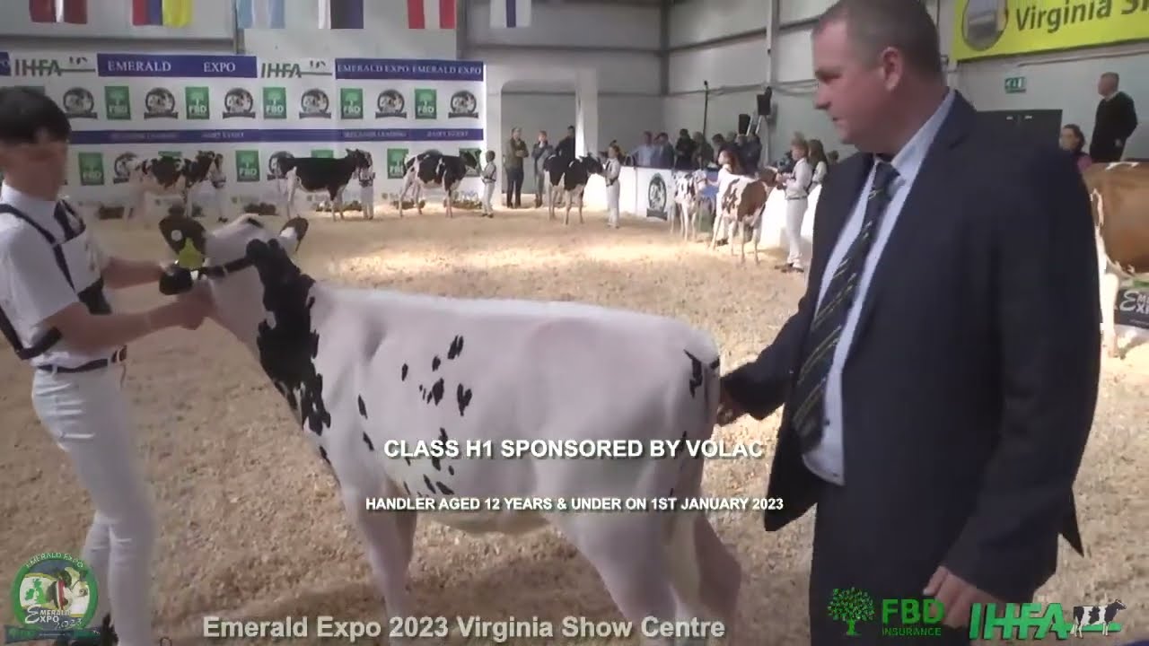 Emerald Expo 2023 Virginia Show Centre Saturday 29th April 2023