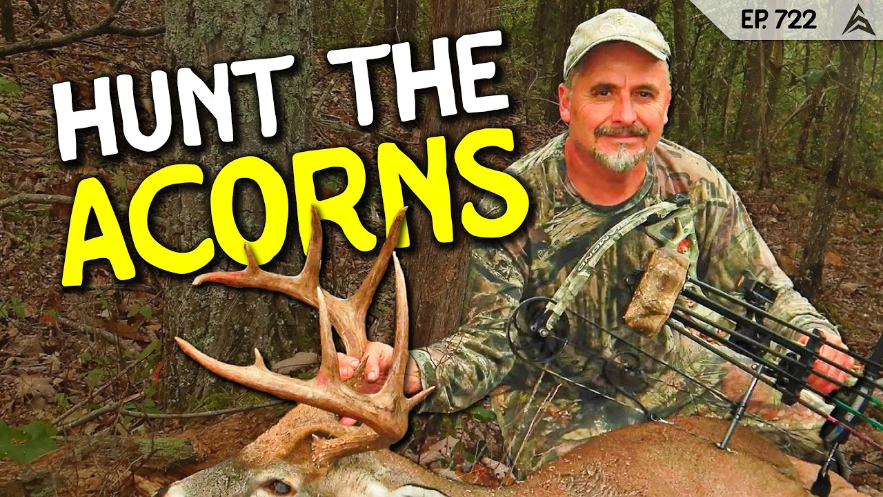 Early Season Bowhunting in the Big Woods: Ralph Barton’s Acorn Strategy