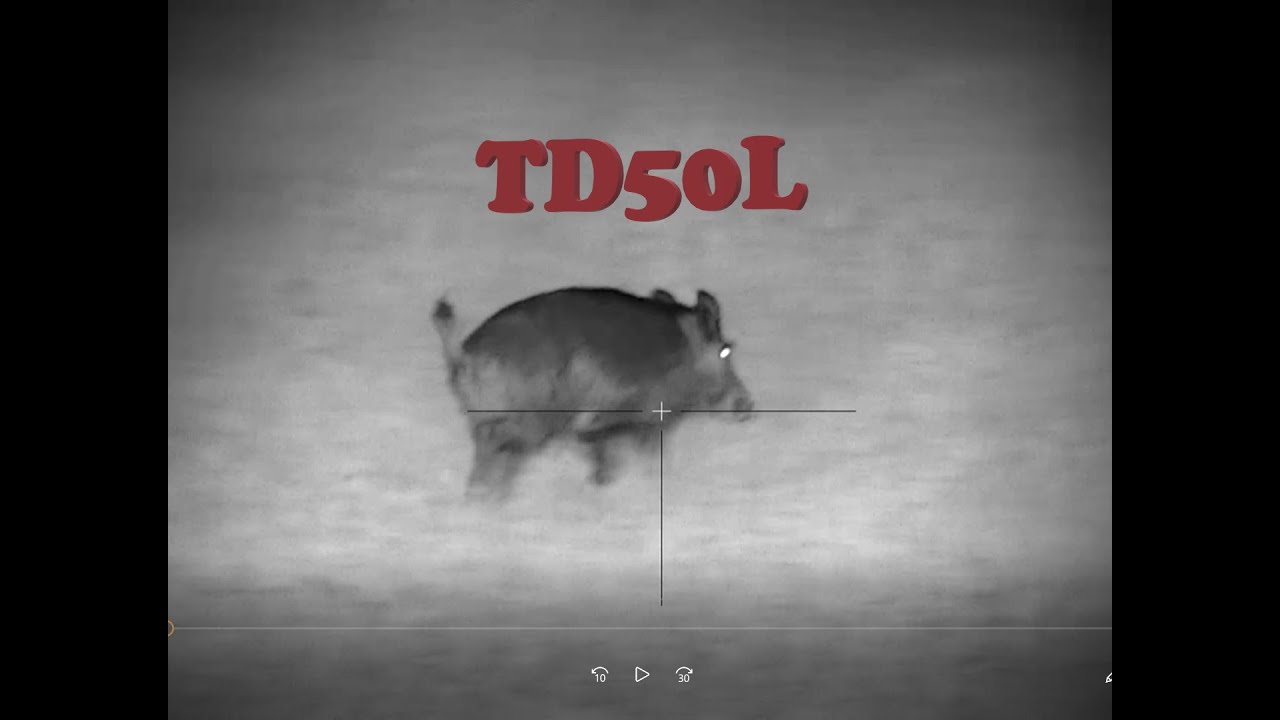 InfiRay TD50L wild boar hunting - lov divoč&aacute;ka 70m