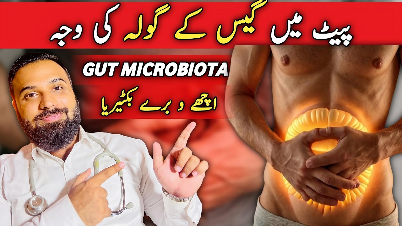 GUT HEALTH explained ! BLOATING is related to GUT MICROBIOTA by Dr Mujtaba. 
