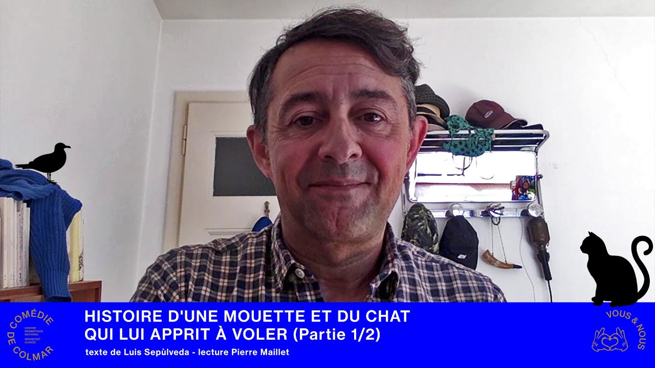 HISTOIRE D'UNE MOUETTE ET DU CHAT QUI LUI APPRIT &Agrave; VOLER&nbsp;(Partie 1/2)