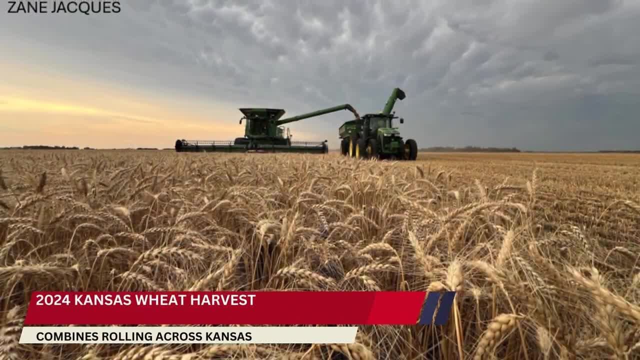2024 Kansas Wheat Harvest