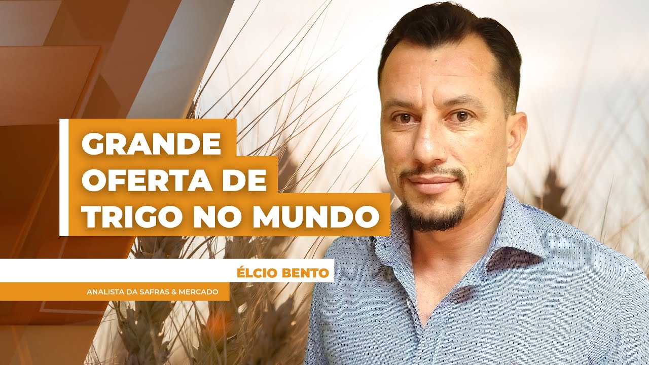 Grande oferta de trigo no mundo eleva estoques e segue pressionando preços